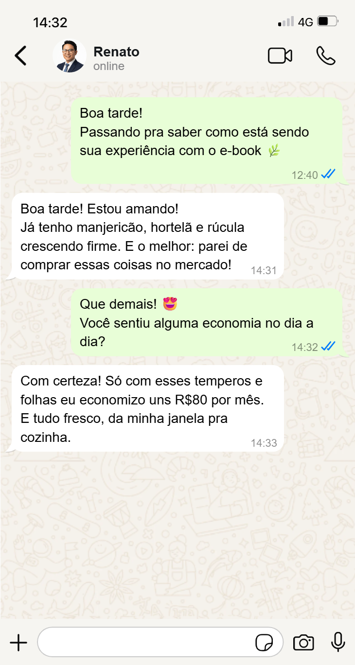 Conversa WhatsApp - Renato